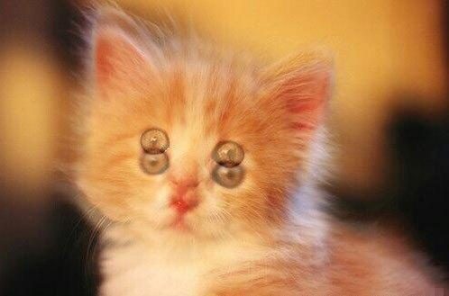 晚上看不清，是散光還是夜盲癥？