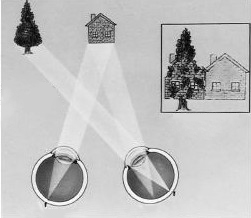 家長(zhǎng),們,注意,了,斜視,對(duì),孩子,的,影響,比你,