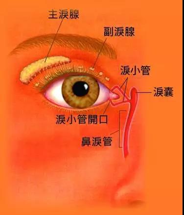 如何治療淚道病,淚道疾病癥狀,淚道病的危害