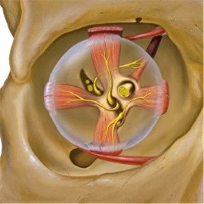 復(fù)視,小兒復(fù)視,重影癥,復(fù)視治療,復(fù)視怎么辦 復(fù)視,小兒復(fù)視,重影癥,復(fù)視治療,復(fù)視怎么辦