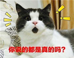 小兒弱視,弱視矯正,弱視治療