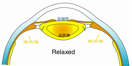 假性近視,醫(yī)學驗光,視力檢查,近視配鏡 假性近視,醫(yī)學驗光,視力檢查,近視配鏡