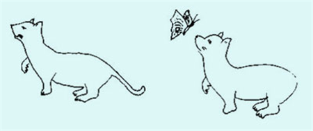 兒童斜視,小兒斜視,孩子斜視怎么辦,斜視治療,斜 兒童斜視,小兒斜視,孩子斜視怎么辦,斜視治療,斜