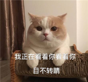 眼球震顫,兒童眼球震顫,先天性眼球震顫,眼球震