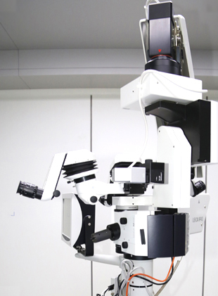 視網膜脫離,視網膜脫落,玻璃體切除手術,視網膜 視網膜脫離,視網膜脫落,玻璃體切除手術,視網膜