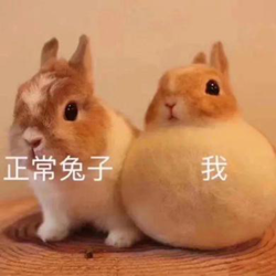 麥粒腫,針眼,麥粒腫治療,預(yù)防麥粒腫,眼睛長痘痘 麥粒腫,針眼,麥粒腫治療,預(yù)防麥粒腫,眼睛長痘痘