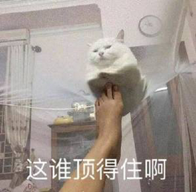 結膜,眼角膜 結膜,眼角膜