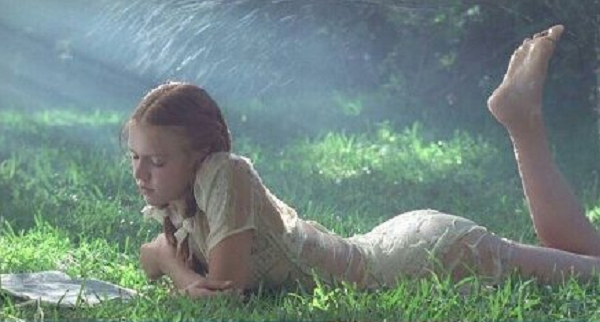 視網膜,近視,晶狀體 視網膜,近視,晶狀體